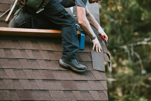 Best Roof Gutter Cleaning  in Fort Oglethorpe, GA